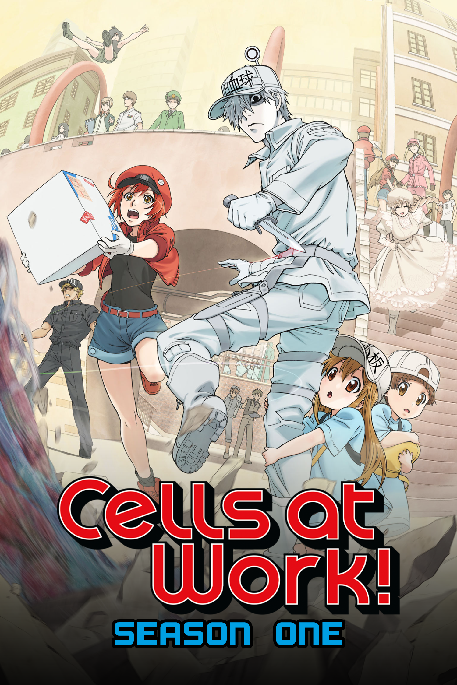Cells at Work! Season 1
