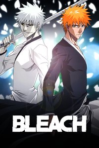 Bleach Season 1