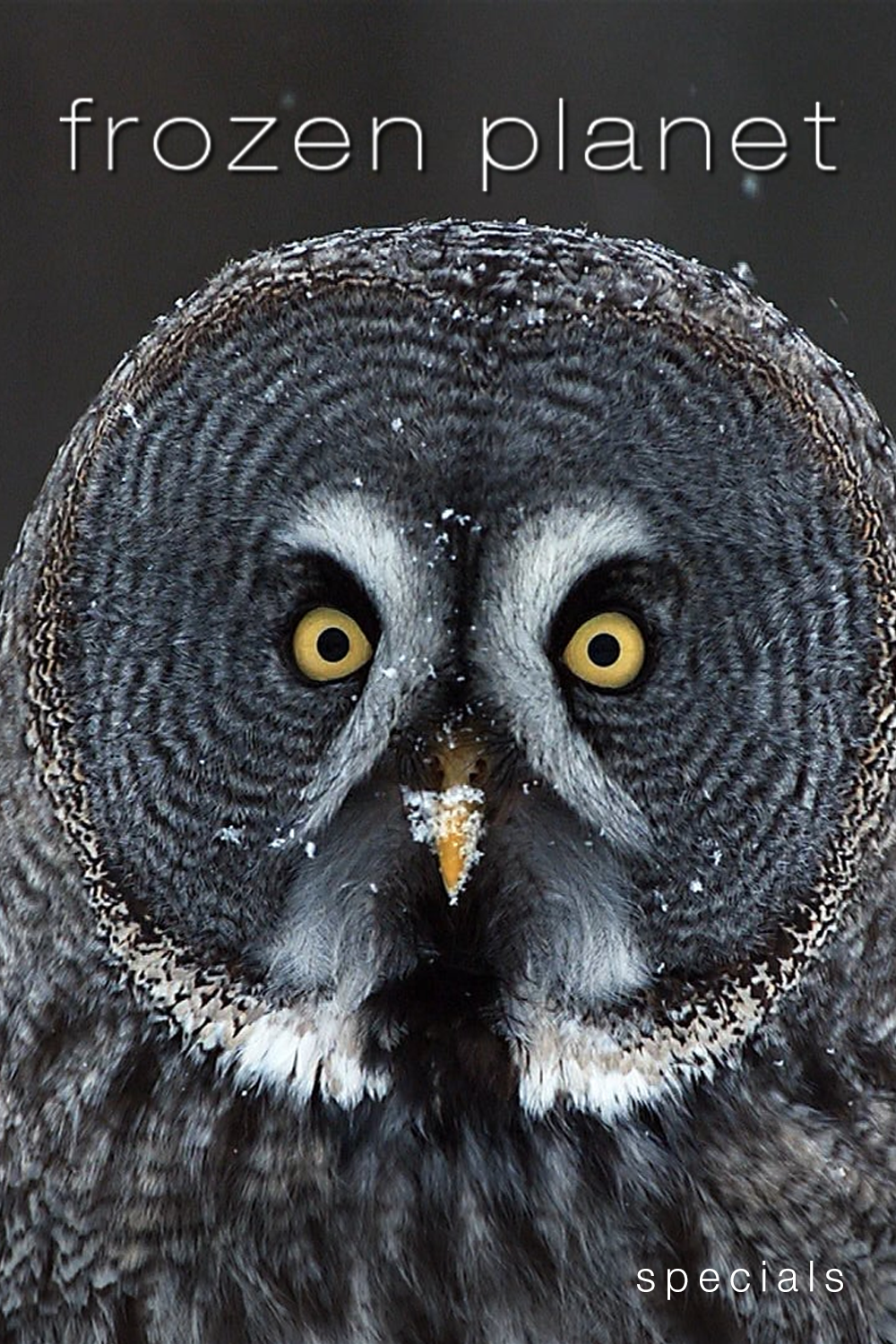 Frozen Planet (Specials)