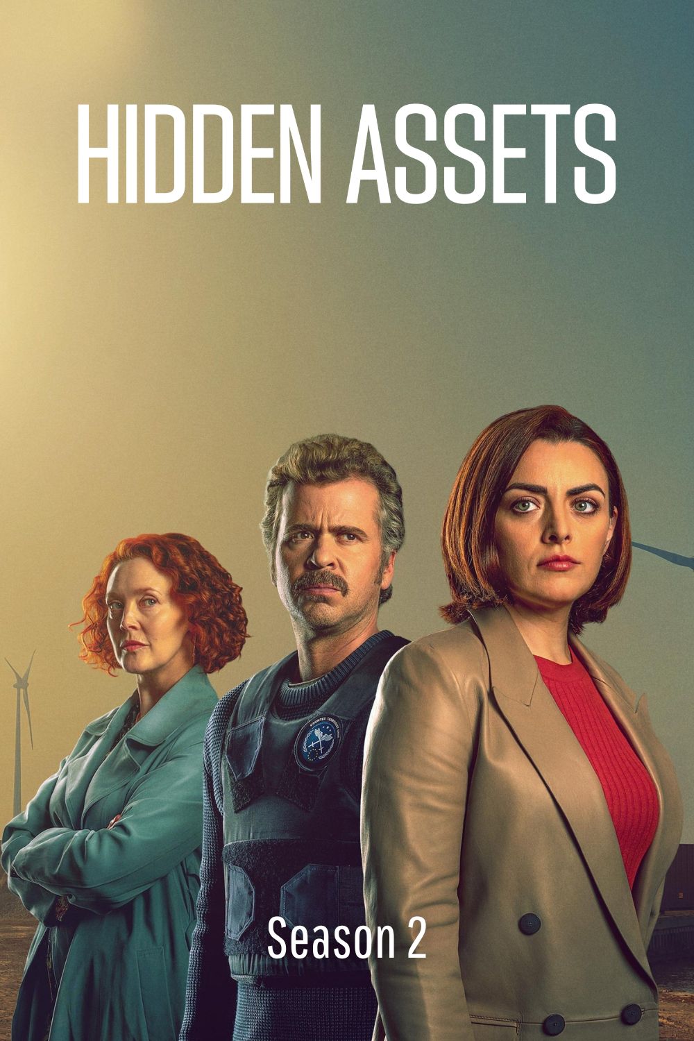 Hidden Assets (Series 2)