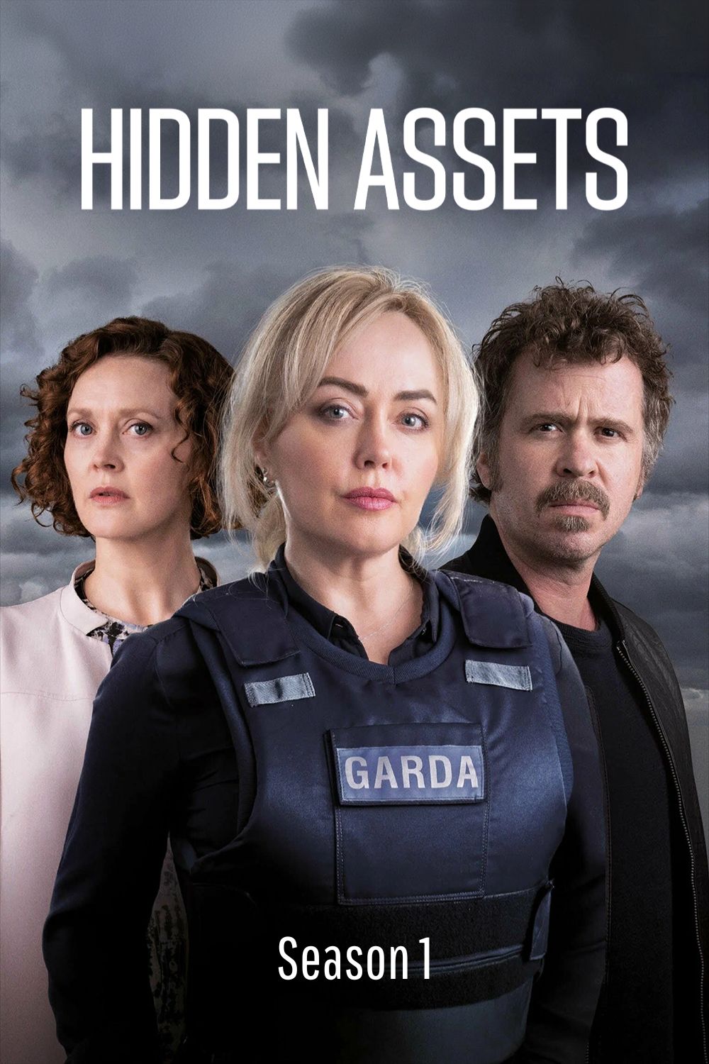 Hidden Assets (Series 1)