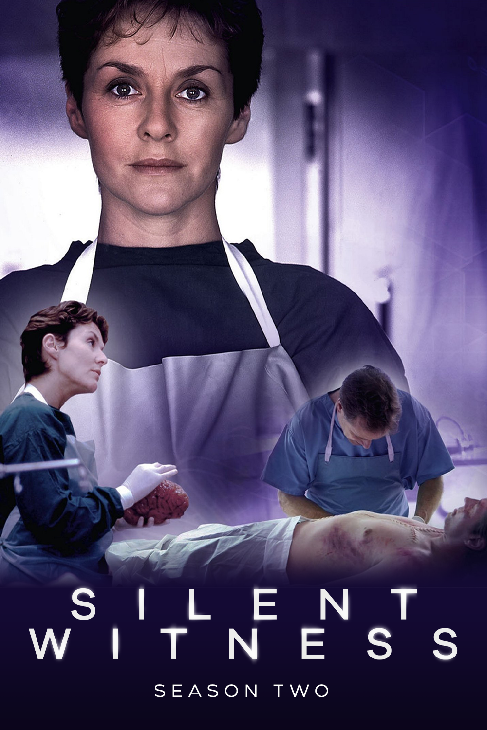 Silent Witness (Series 2)