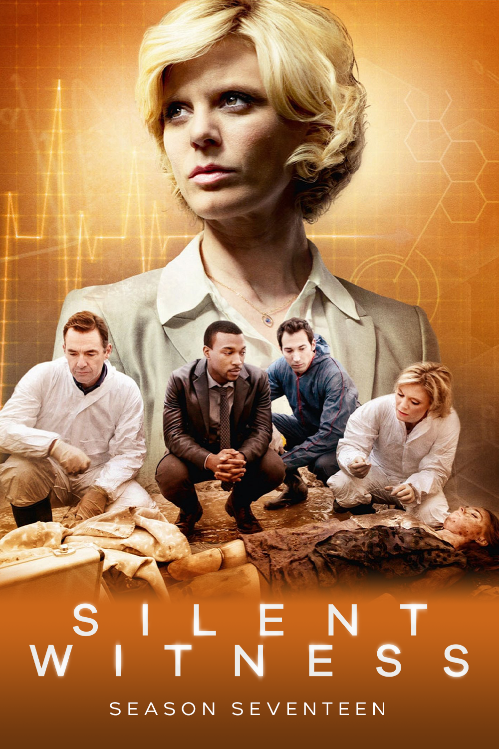 Silent Witness (Series 17)