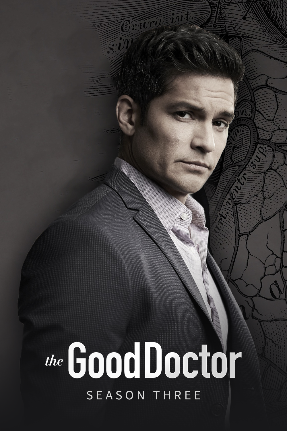 The Good Doctor Season 3