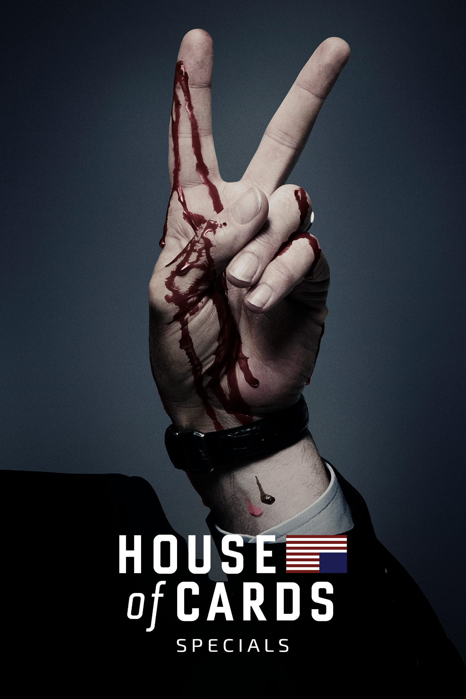 House of Cards (Specials)