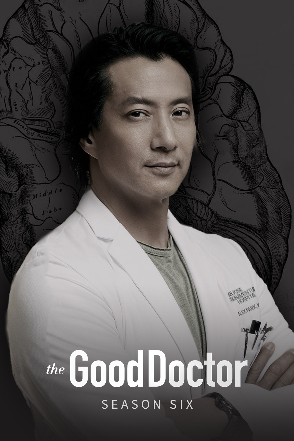The Good Doctor Season 6