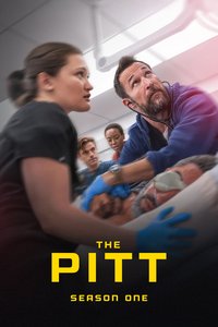 The Pitt