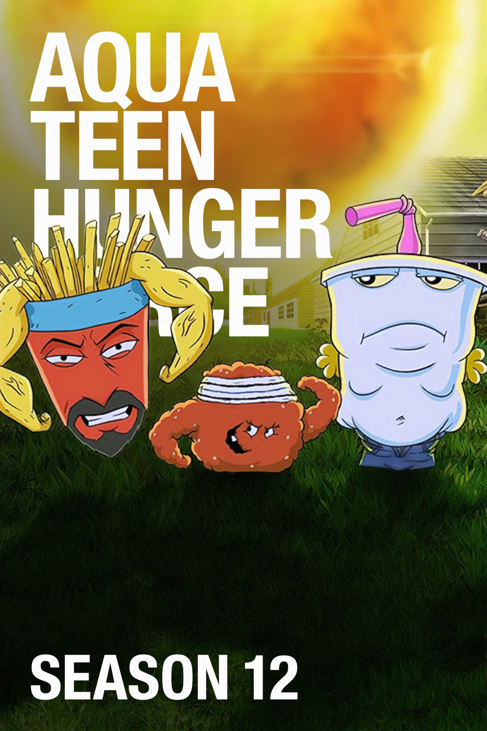 Aqua Teen Hunger Force Season 12