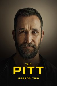 The Pitt