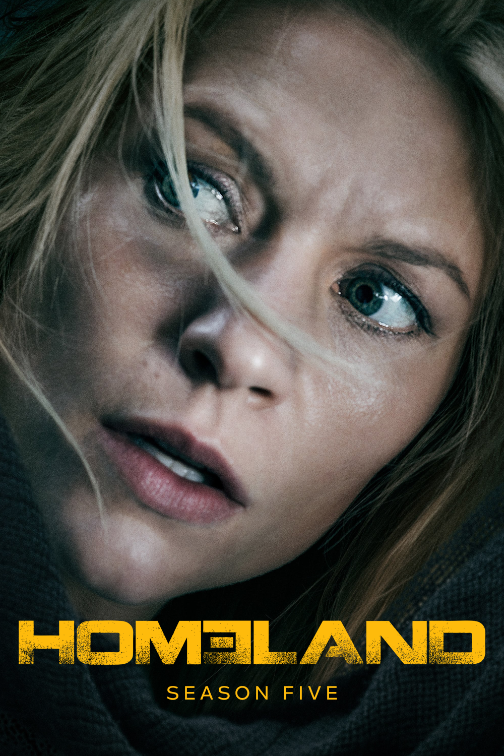 Homeland Season 5