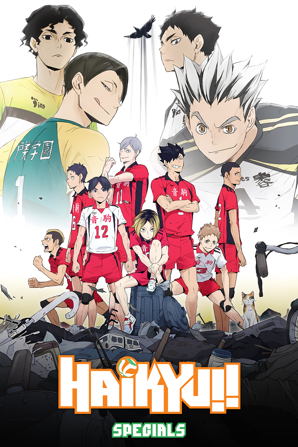 Haikyu!! (Specials)