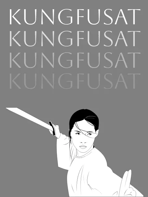 #KungFuSat