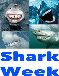 Shark Week