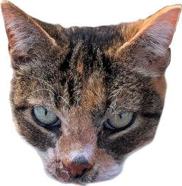 Emoji charlene_cat_head