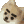 Emoji dogeyebrow