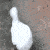 Emoji goose_walking