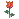 Emoji msn_rosa