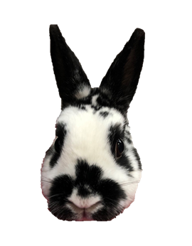:skyeface3: :skyeface3: