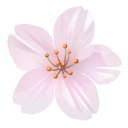 Emoji sakura1
