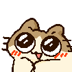 Emoji tmy_kirakiracat