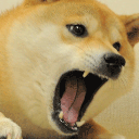 Emoji angry_shibe
