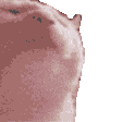 Emoji hyper_vibecat