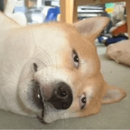 Emoji inu_downer