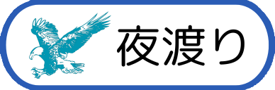 Emoji role_yoruwatari
