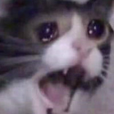 Emoji saddercat