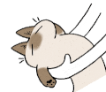 Emoji Azuki_san16