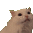 Emoji _r151uyz1_