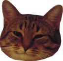 Emoji coolcat
