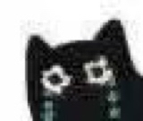 Emoji blackcat_11133