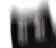 Emoji gblackcat_shake_shadow