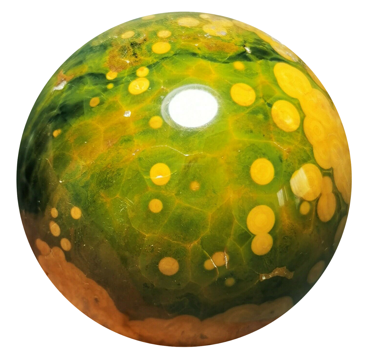 niê 📚🎧🕹️