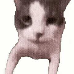 Emoji cat_nearyou