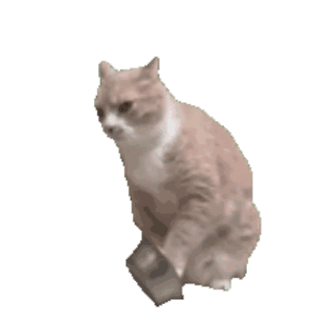 Emoji cat_paiwan