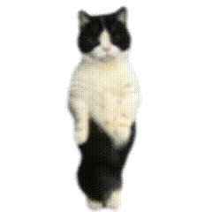 Emoji cat_dance3