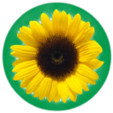 Emoji hiddenDisability