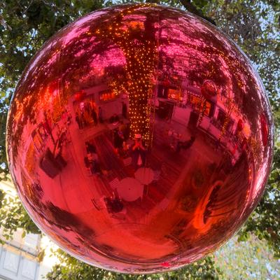 Avatar for Dave Rahardja 🎄