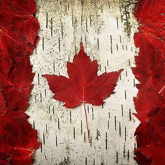 Avatar for Meanwhile in Canada