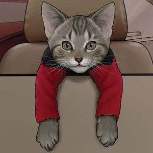 Avatar for Tadeo D'Oria 🇦🇷 💚🧡