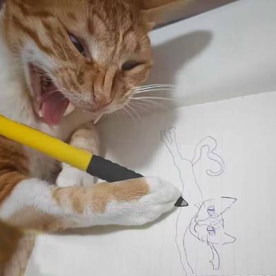 Avatar for 燃尽了的猫