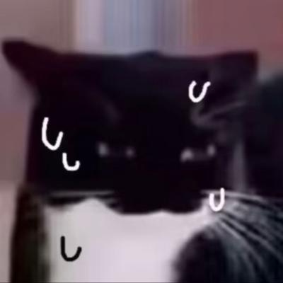 Avatar for 爆汁奶牛猫