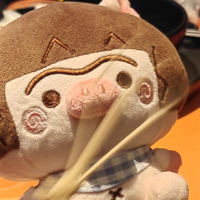 Avatar for 阿汤哥迷妹-藤条焖猪肉🐷