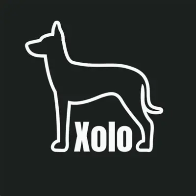 Avatar for xolo