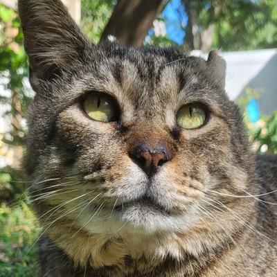 Avatar for Galactic Stone