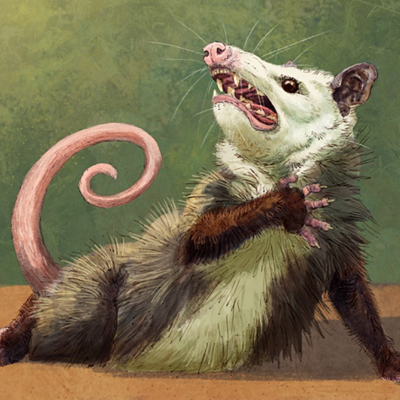 Avatar for HeavenlyPossum