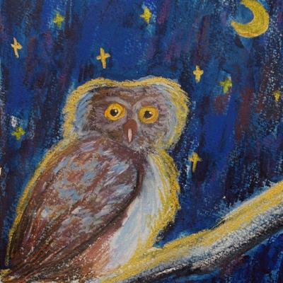 Avatar for 鬚鯨一場的Salsa醬