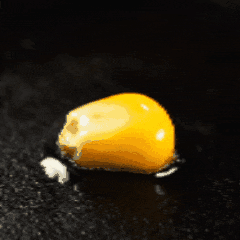 Avatar for 发声弹簧斗子